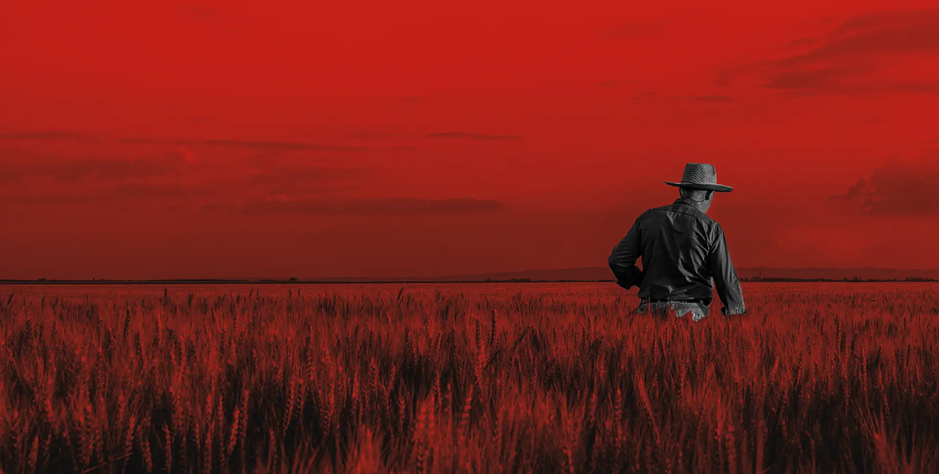 <span>AGRICULTURE OF THE FUTURE</span> GET READY FOR